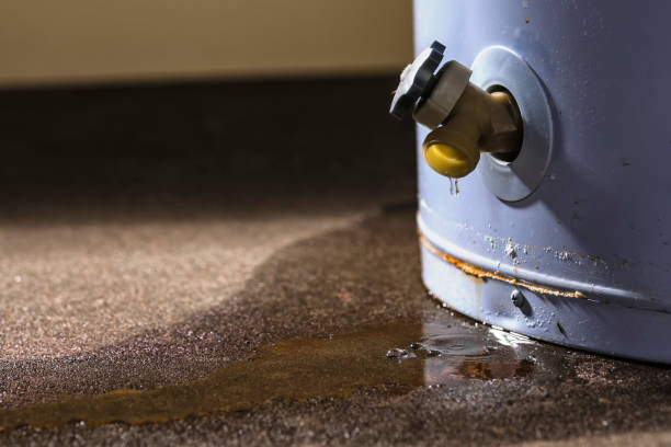 Best Fire Damage Restoration  in Kenilworth, NJ