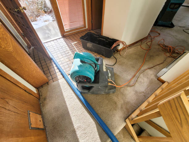 Best Commercial water damage restoration  in Kenilworth, NJ