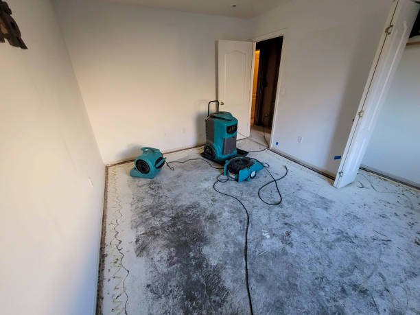 Reliable Kenilworth, NJ Water damage restoration Solutions