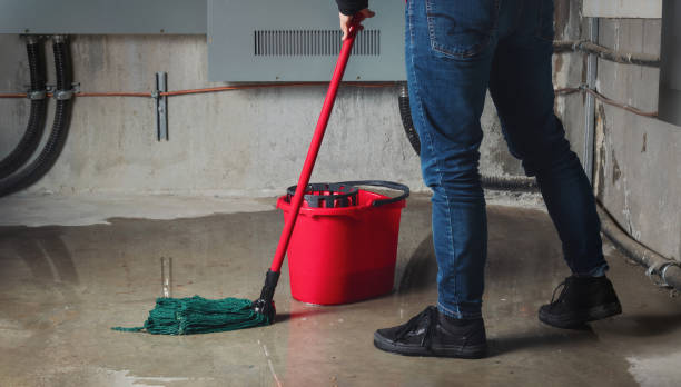 Best Flood restoration services  in Kenilworth, NJ
