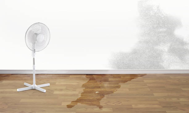 Best Flooded house restoration  in Kenilworth, NJ