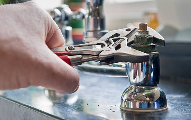 Best Flood damage cleanup  in Kenilworth, NJ