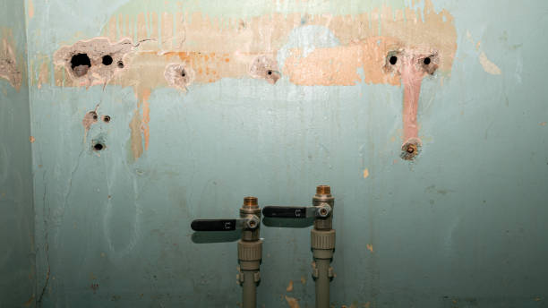 Best Water damage cleanup near me  in Kenilworth, NJ