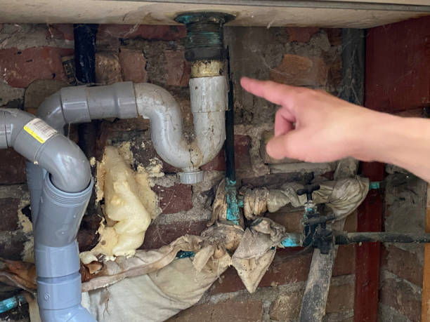 Best Local water damage restoration  in Kenilworth, NJ