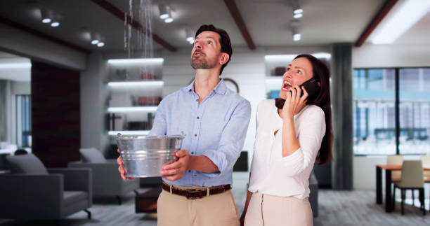  Kenilworth, NJ Water damage restoration Pros